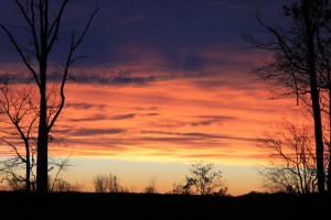 IMG_0408
