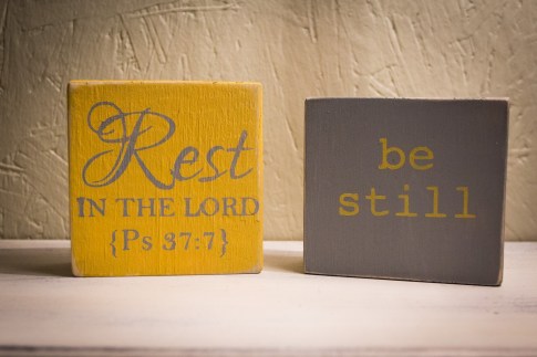 10382259_826713244052370_6194812341936973070_o