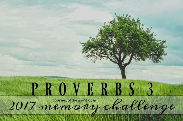 2017-memory-challenge